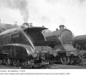 DWA0313