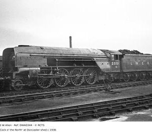 DWA0344