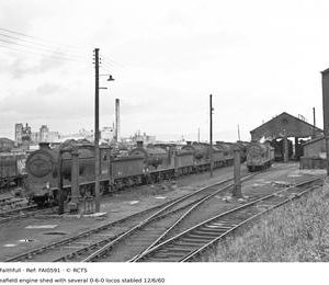 FAI0591