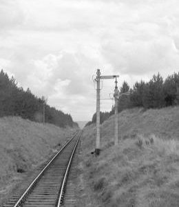 FAI0615