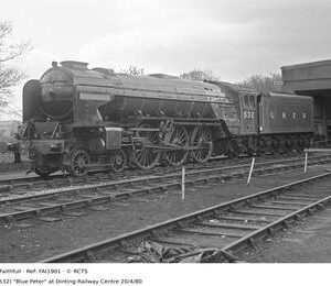 FAI1901