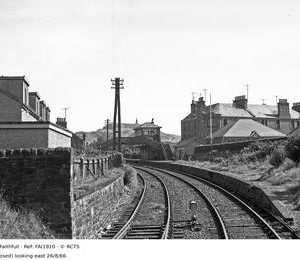 FAI1910
