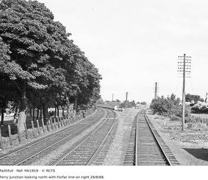 FAI1919