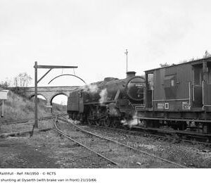 FAI1950