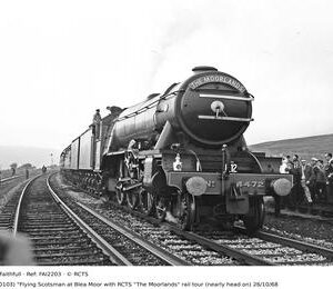 FAI2203