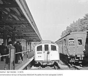 FAI2481