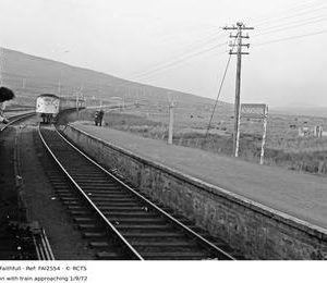 FAI2554