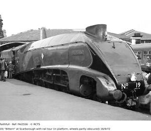 FAI2556