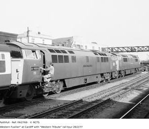 FAI2769