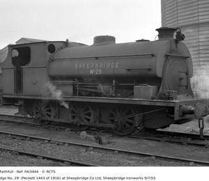 FAI3444