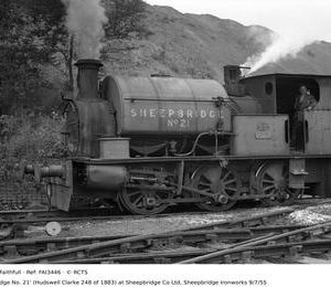 FAI3446