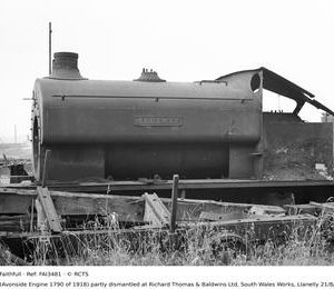 FAI3481