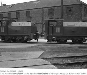 FAI3646