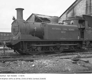 FAI3695
