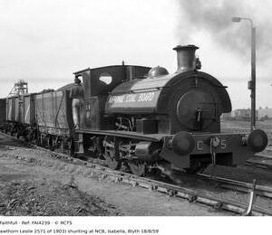 FAI4239