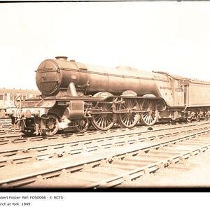 FOS0066