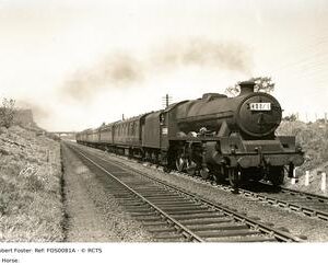 FOS0081A