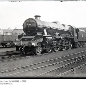 FOS0083