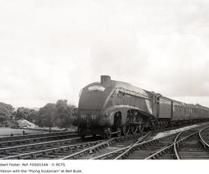 FOS0154A