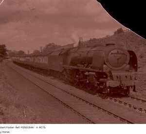 FOS0164A