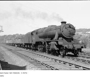 FOS0181