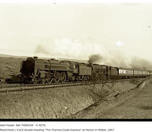 FOS0194