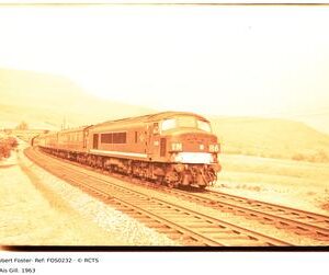 FOS0232