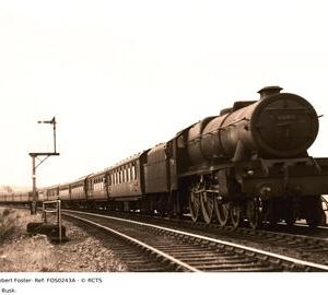 FOS0243A