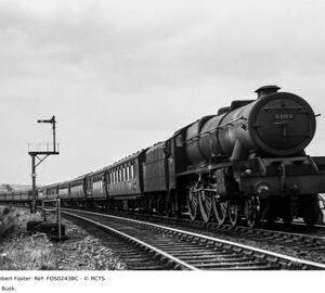 FOS0243BC