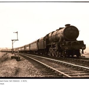 FOS0243