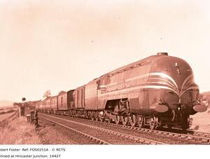 FOS0251A