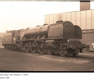 FOS0254