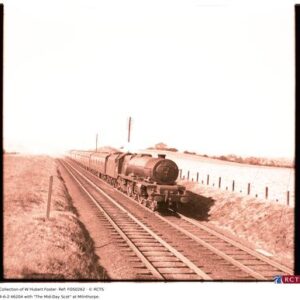 FOS0262