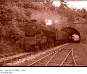 FOS0268