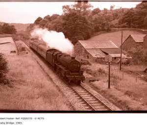 FOS0270