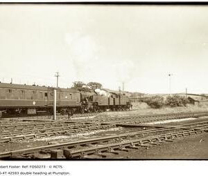 FOS0273