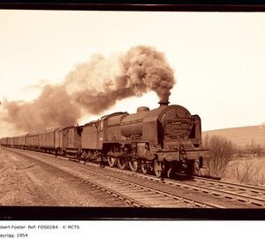 FOS0284