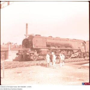 FOS0288
