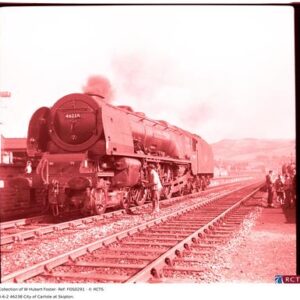 FOS0291