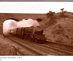 FOS0294