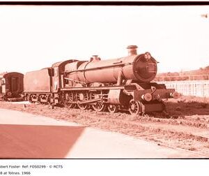 FOS0299