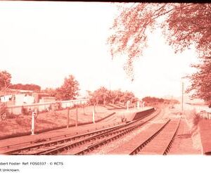 FOS0337
