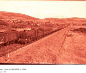 FOS0385