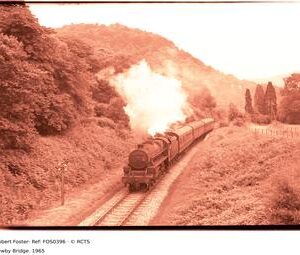 FOS0396