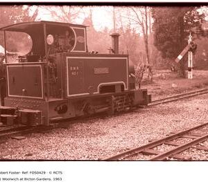 FOS0429
