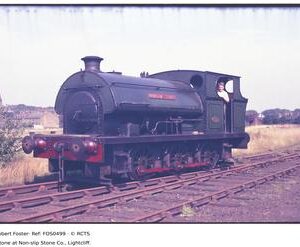FOS0499