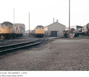 GGR0081C