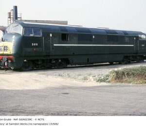 GGR0239C