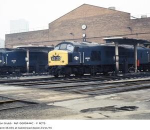 GGR0444C