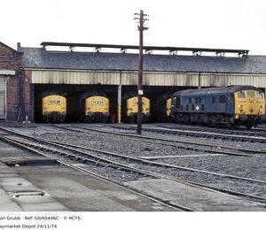 GGR0446C